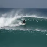 Shark's Baleal