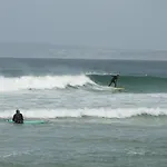 Shark's * Baleal