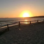 Lodge Shark's Baleal