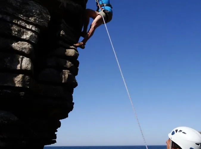 Shark's Балеал