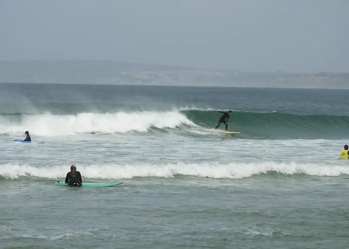 Shark's * Балеал