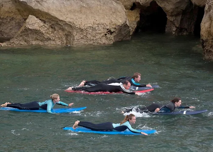 Shark's * Балеал